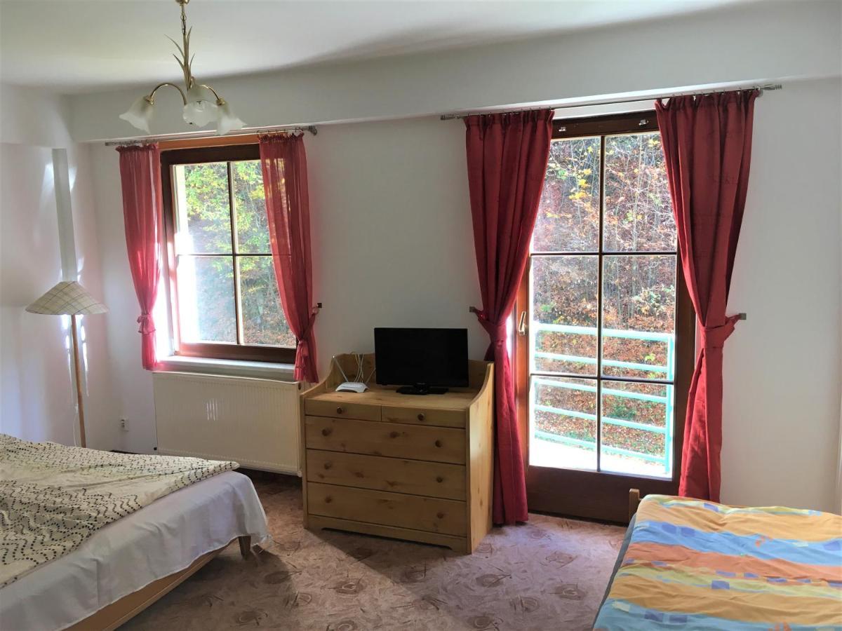 Apartment Apartmany Jachymov *